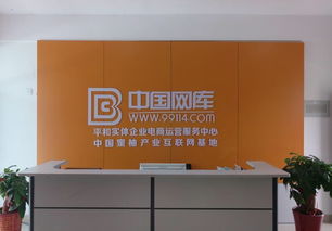 互联网架金桥 农村电商为农产品销售开辟新天地